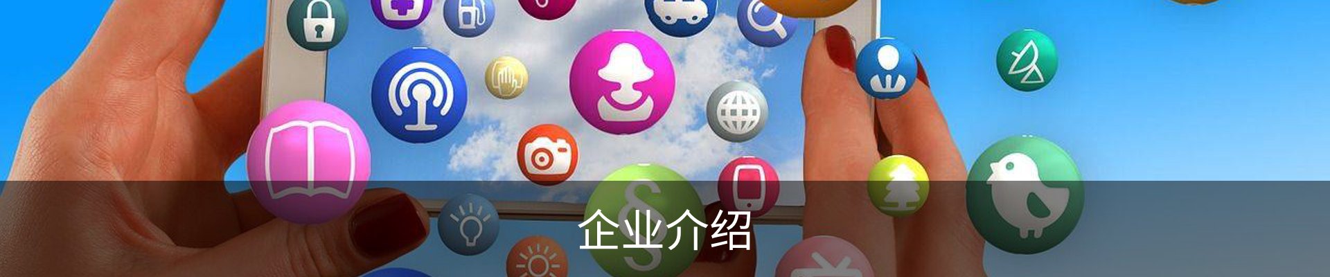 企业介绍